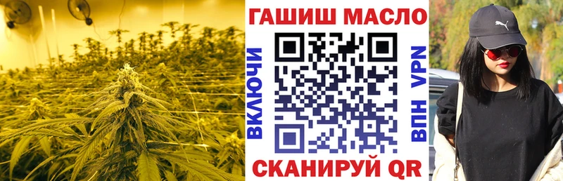 Купить закладки  Киржач  ТГК вейп с тгк 