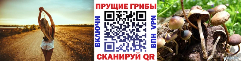 Псилоцибиновые грибы мухоморы  Купить где  Киржач 
